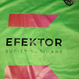 P.U.EFEKTOR