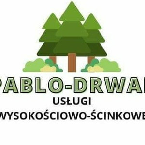 Usługi Wysokościowo-Ścinkowe PABLO-DRWAL