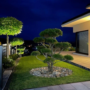 OH! GARDEN