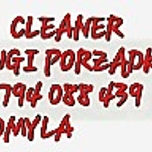 L&I  CLEANER